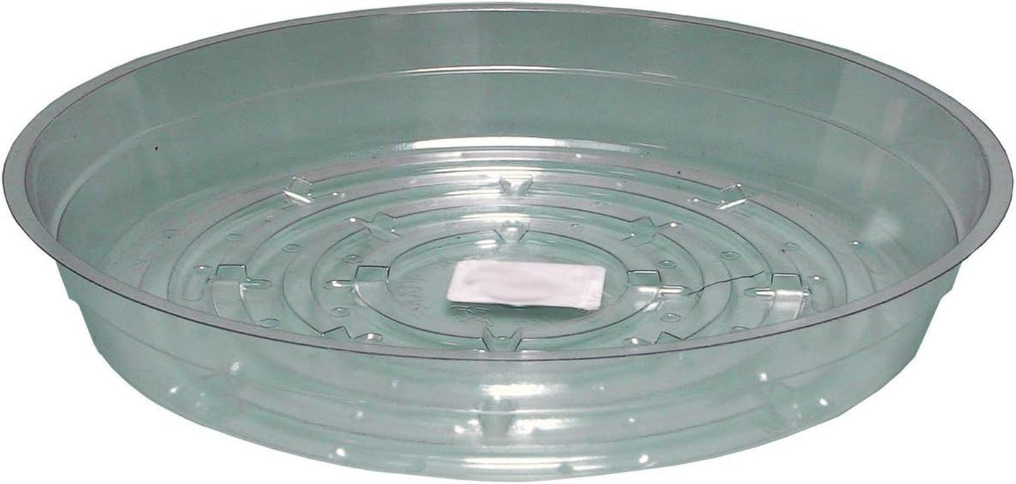 Clear Inch Saucer, 14", Pack of 10[ Hgs14 ], 14 Inches