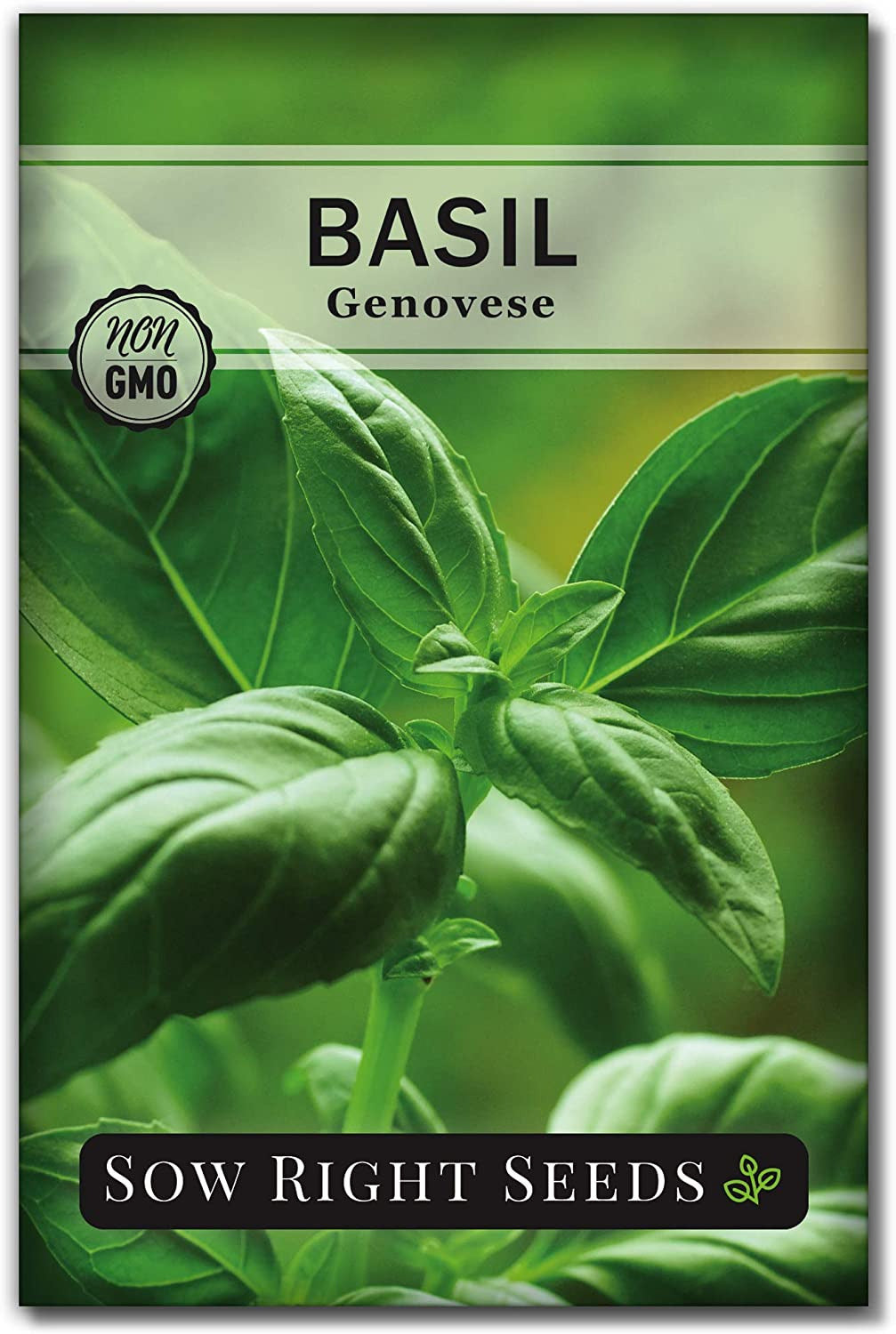 - Genovese Sweet Basil Seed for Planting - Heirloom, Non-Gmo with Instructions t