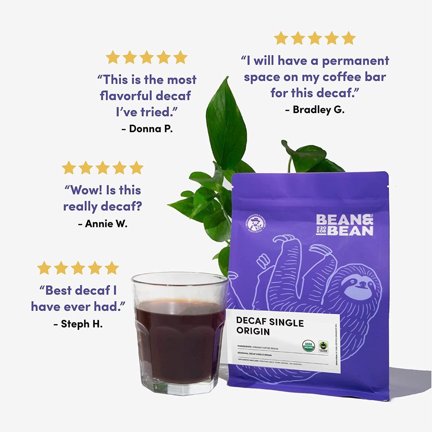 Bean & Bean Decaf Single Origin Coffee Beans – Decaf Organic Coffee Beans for Mi