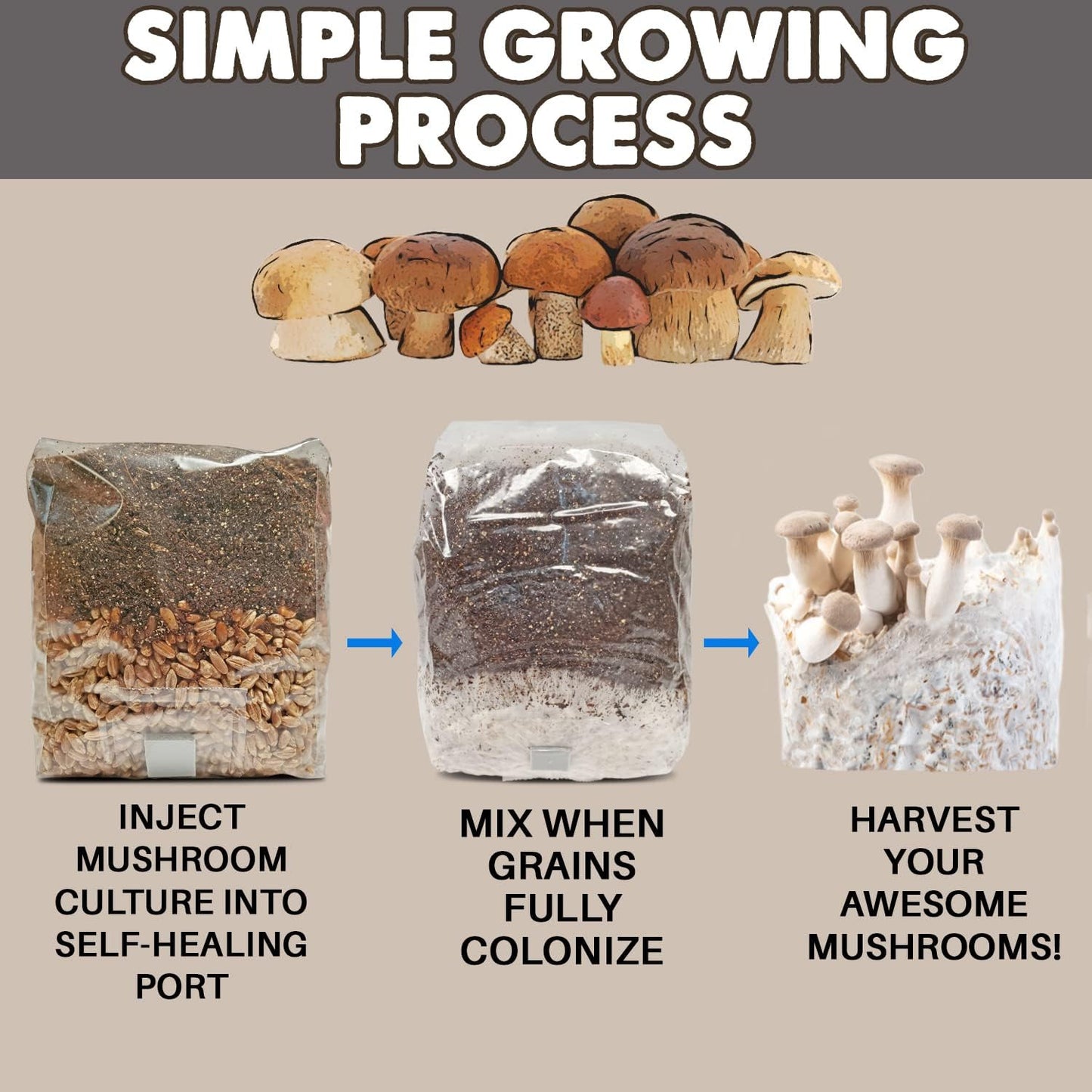 Evviva Sciences All-In-One Mushroom Grow Bag with Coco Coir & Rye Berry Grains,