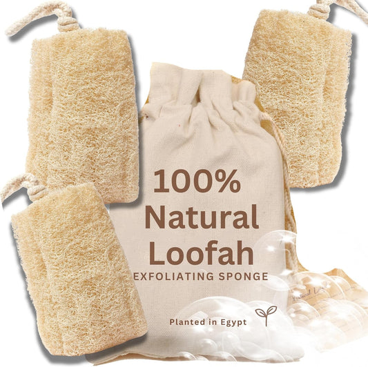 All Natural Loofah Sponge, Pack of 3 Real Egyptian Bath & Shower Exfoliating Loo