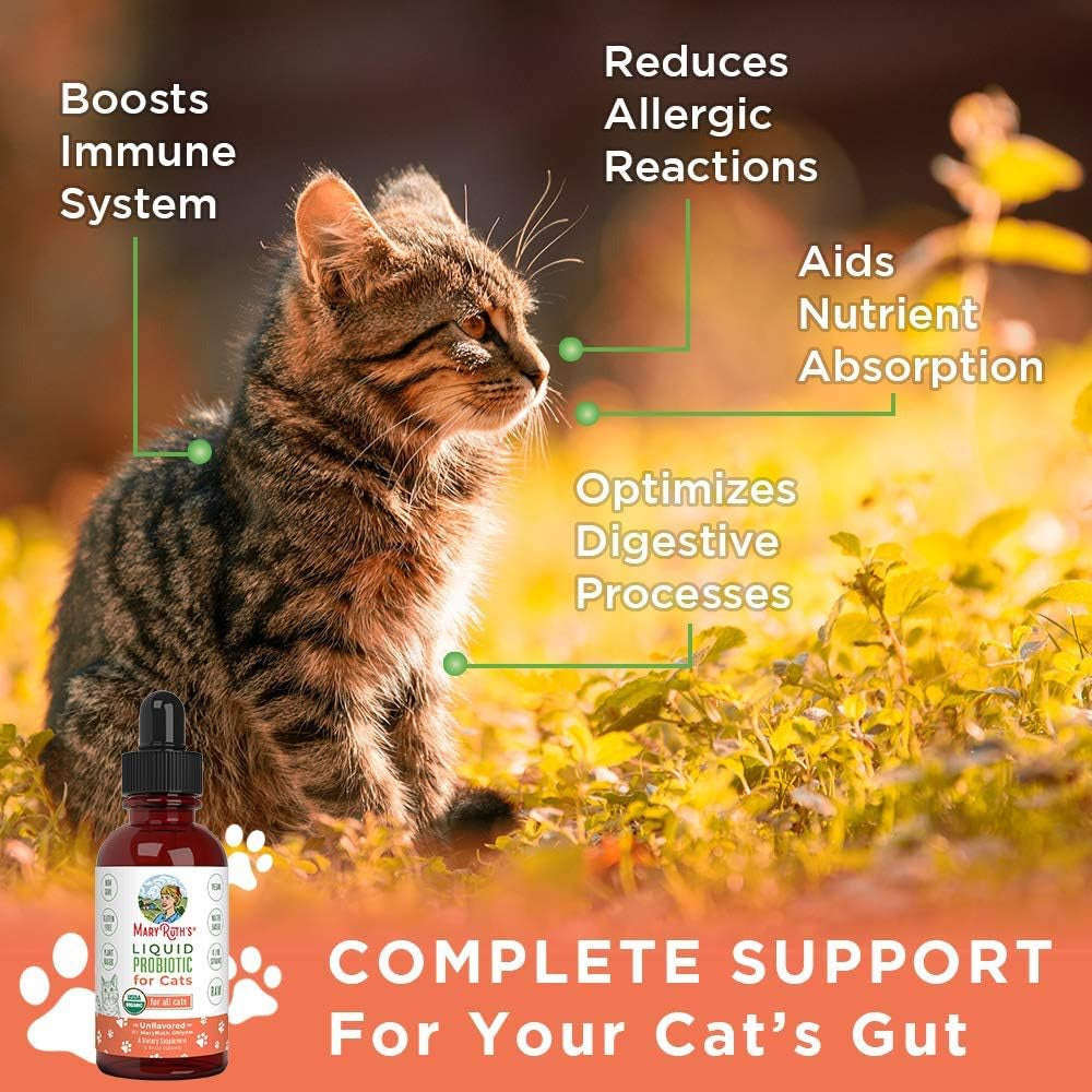 Cat Probiotic | USDA Organic Probiotic Cat | Probiotic for Cats | Cat Probiotic