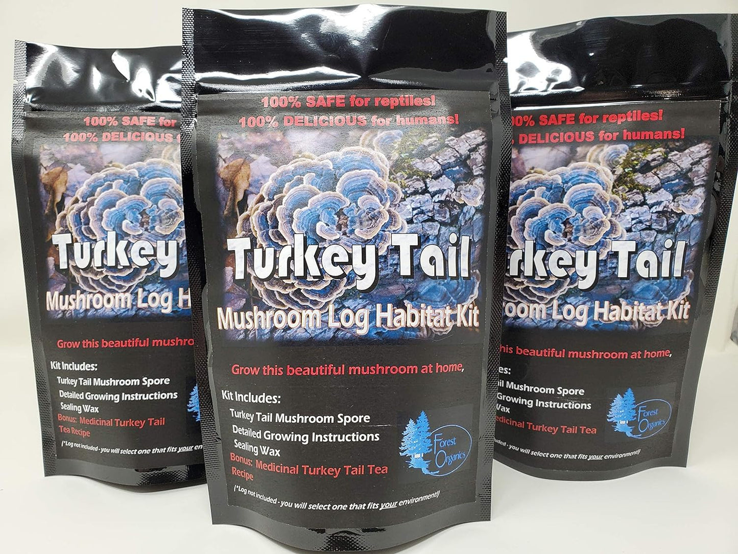 Turkey Tail Mushroom Growing Kit for Terrariums Medicinal Tea Gorws for Years!!