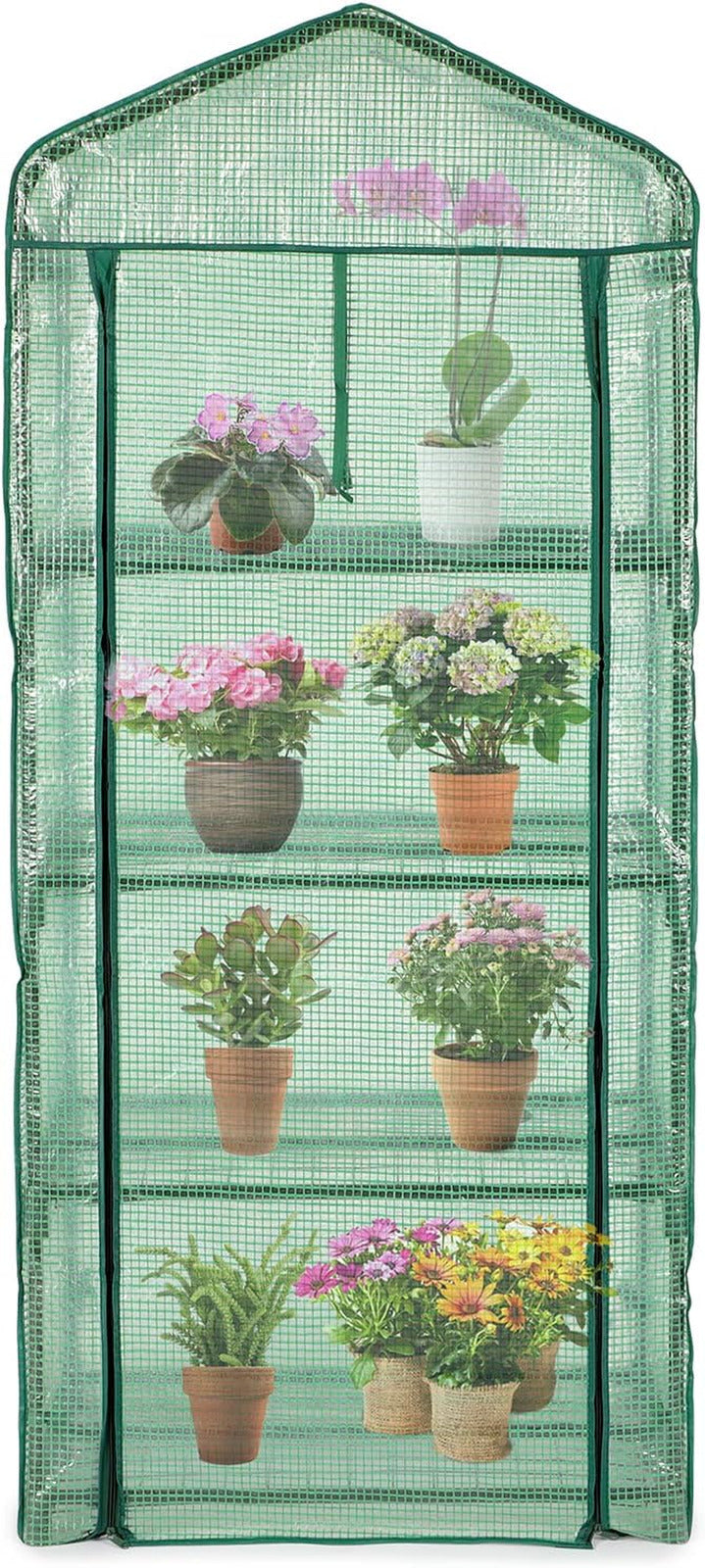 Mini Greenhouse for Outdoors Indoor, Small Greenhouses with 4-Tier Shelf, Portab