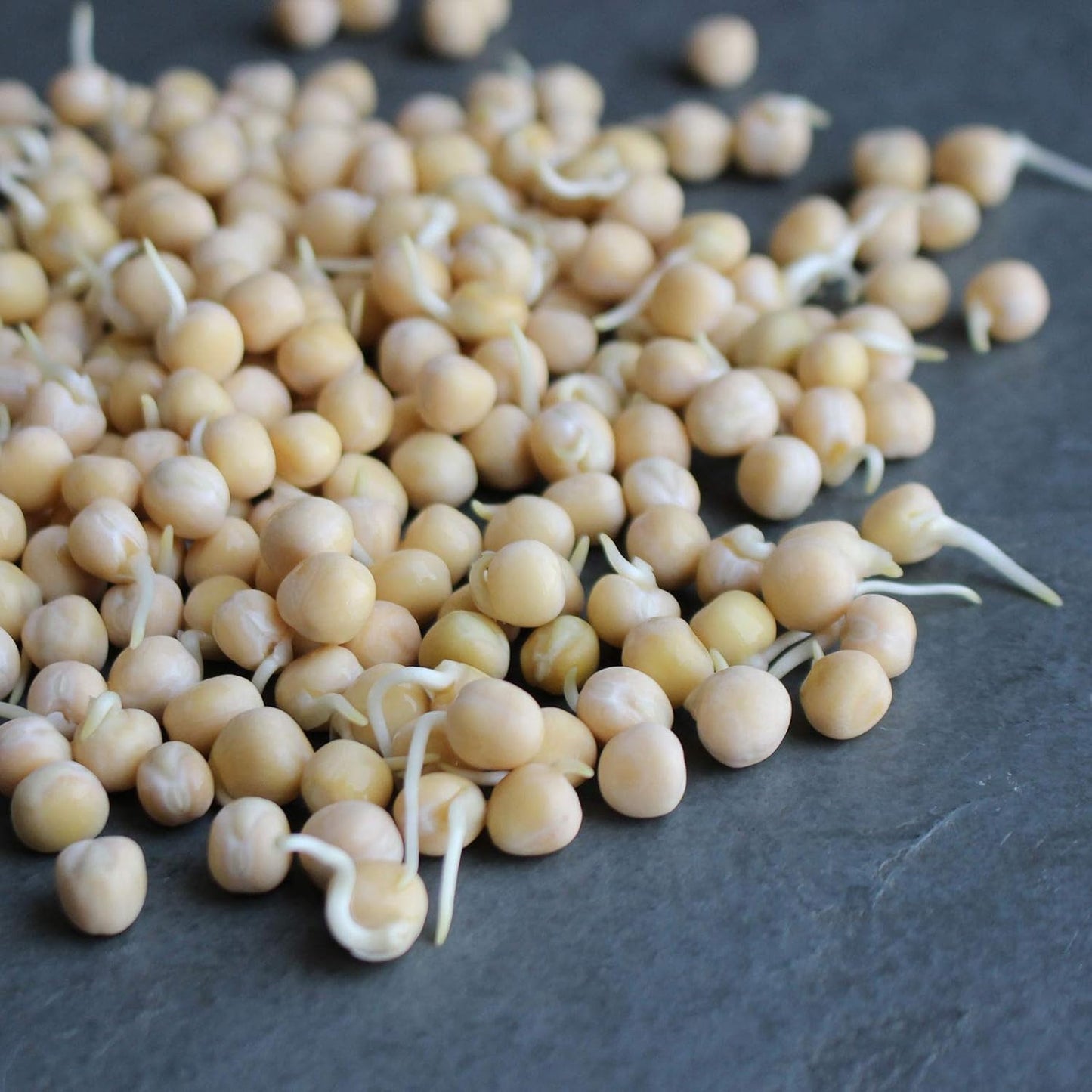 Organic Garden Yellow Pea Seeds - 1 Lb ~2,000 Seeds - Non-Gmo Heirloom Yellow Sp