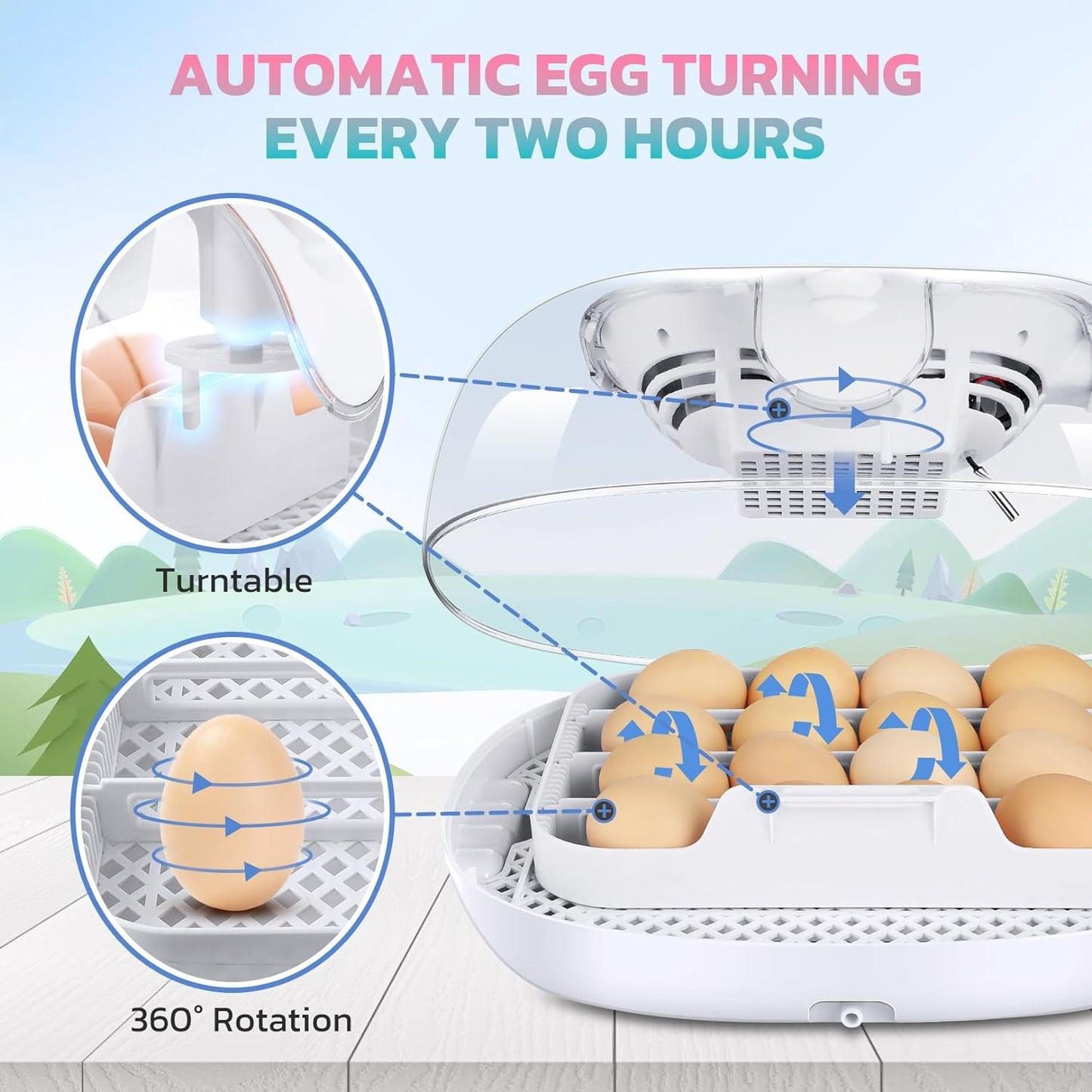 Egg Incubator for Hatching Chicks, 16-35 Eggs Incubator with Automatic Water Top