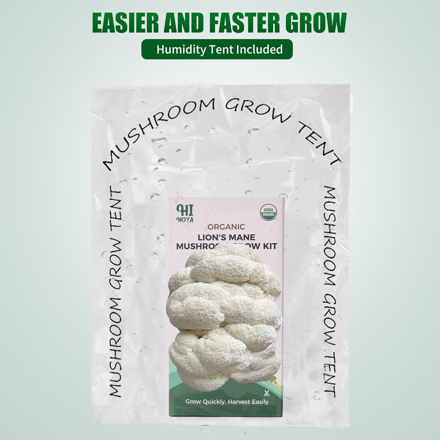 Large Mushroom Growing Kit, Organic Lions Mane Grow Kit, Fresh Gourmet Mushrooms