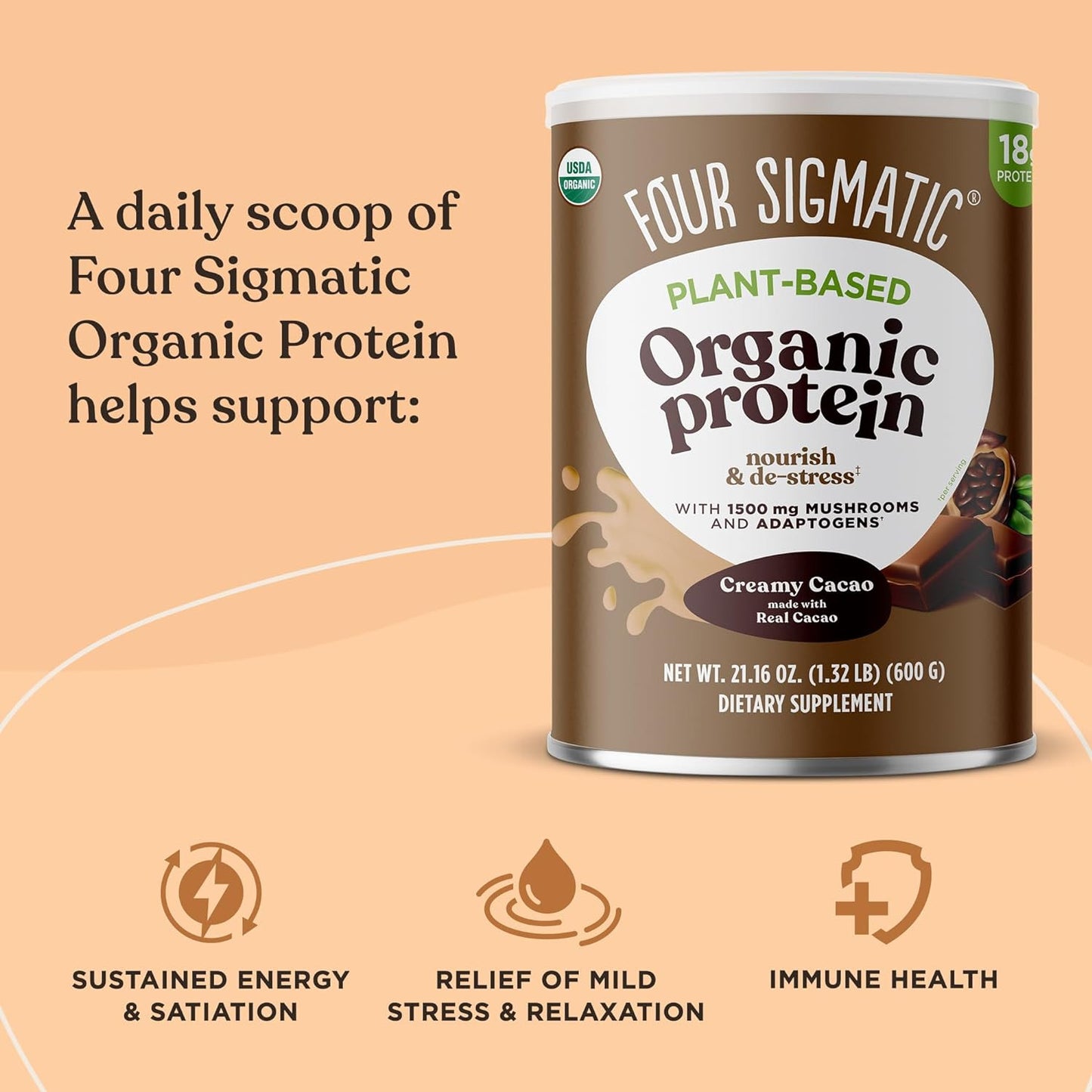 Organic Plant-Based Protein Powder Creamy Cacao Protein with Lion’S Mane, Chaga,