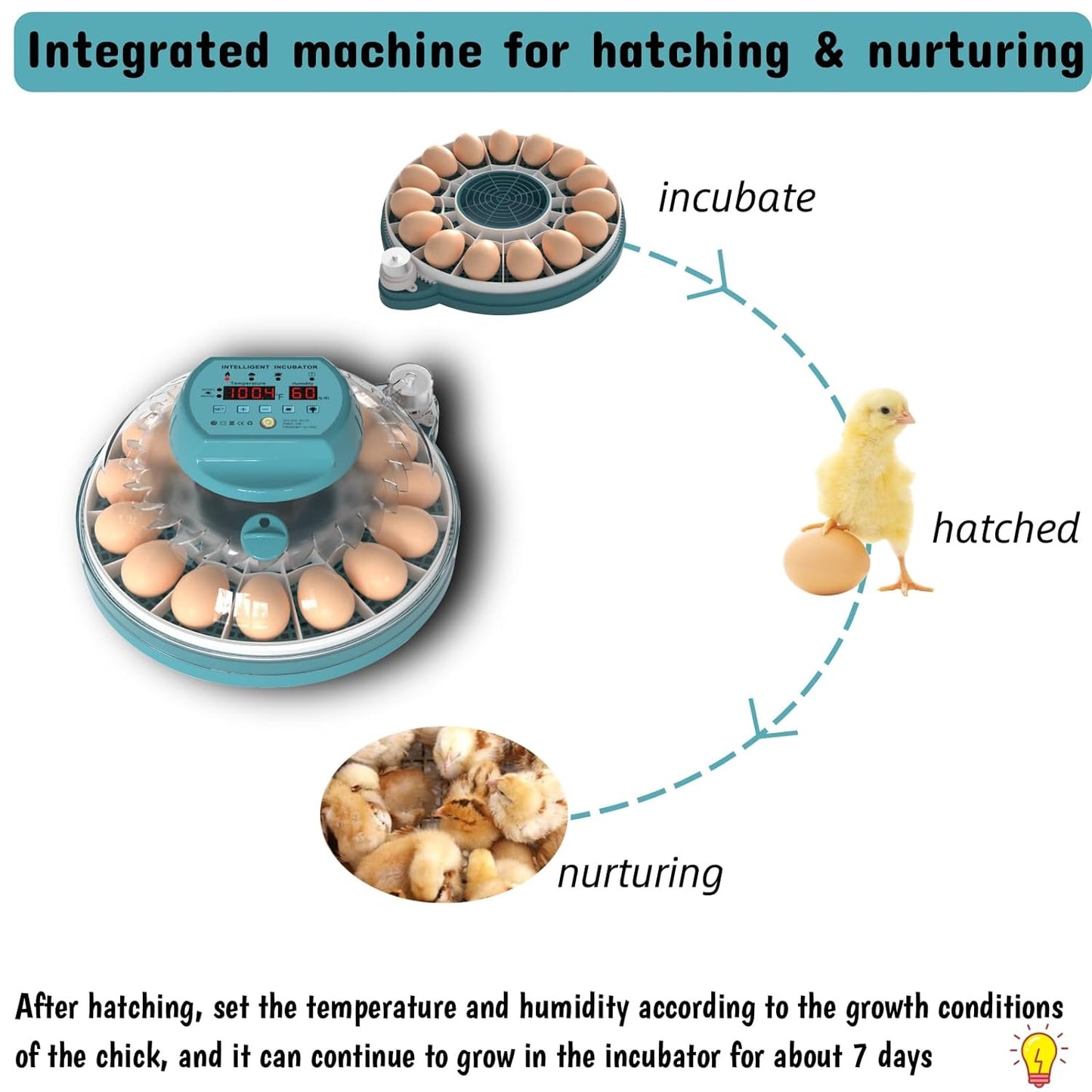 Hethay Egg Incubator, Intelligent Incubator for Chicken Eggs with Automatic Humi