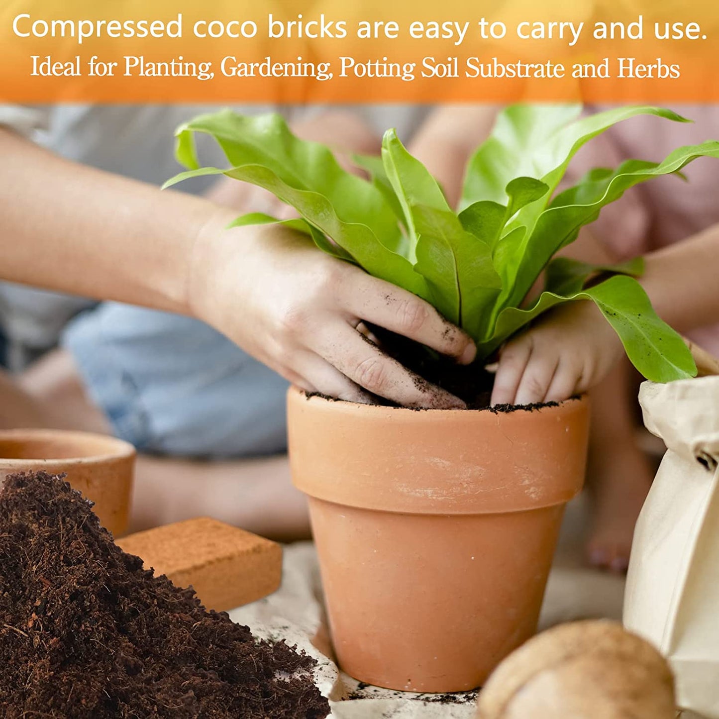 4 Pack Premium Coco Coir Brick for Plants- 100% Organic Compressed Coconut Coir