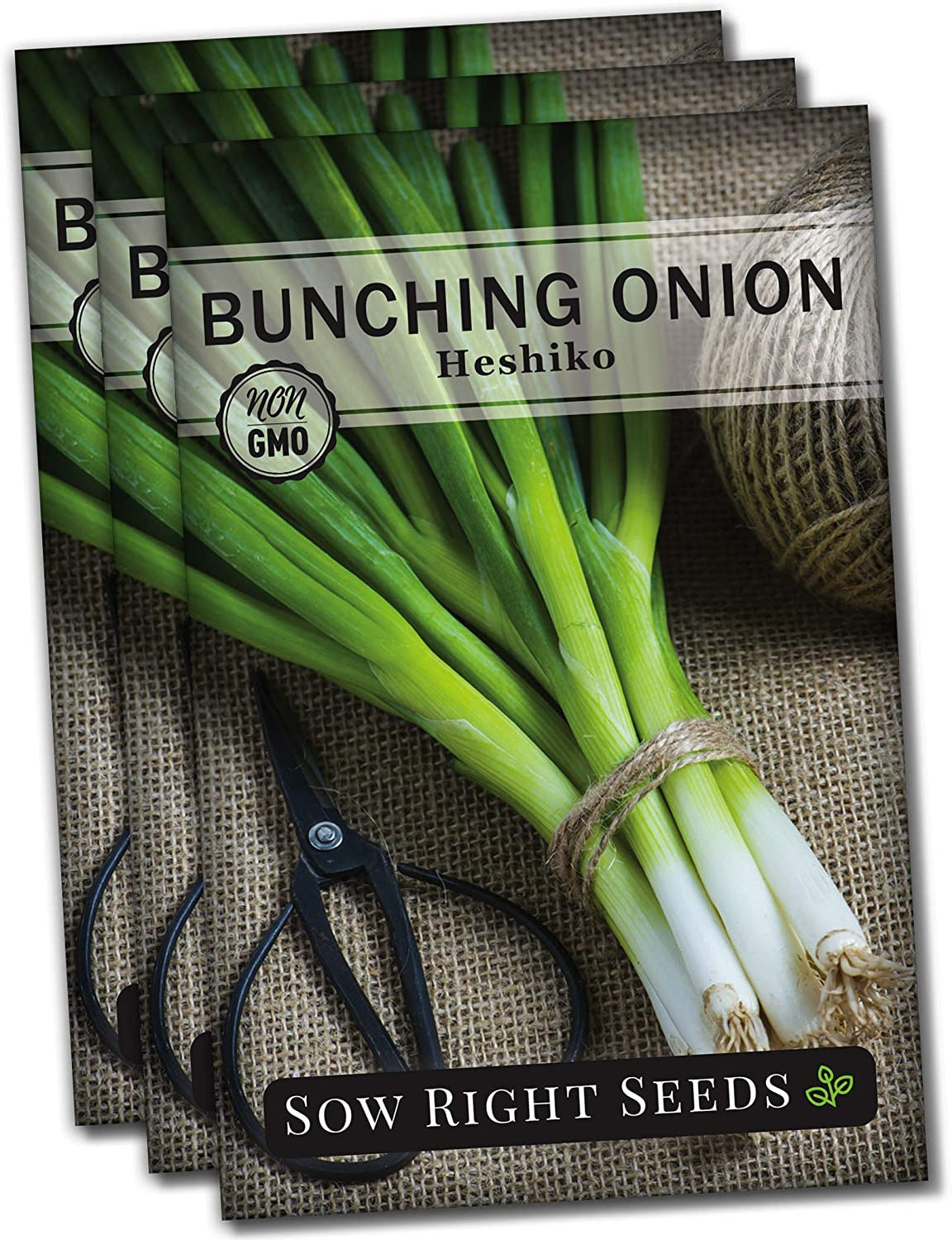 - Heshiko Japanese Bunching Green Onion Seeds for Planting - Non-Gmo Heirloom -