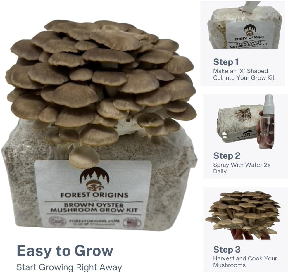 Brown Oyster Mushroom Grow Kit, Beginner Friendly & Easy to Use, Grows in 10 Day