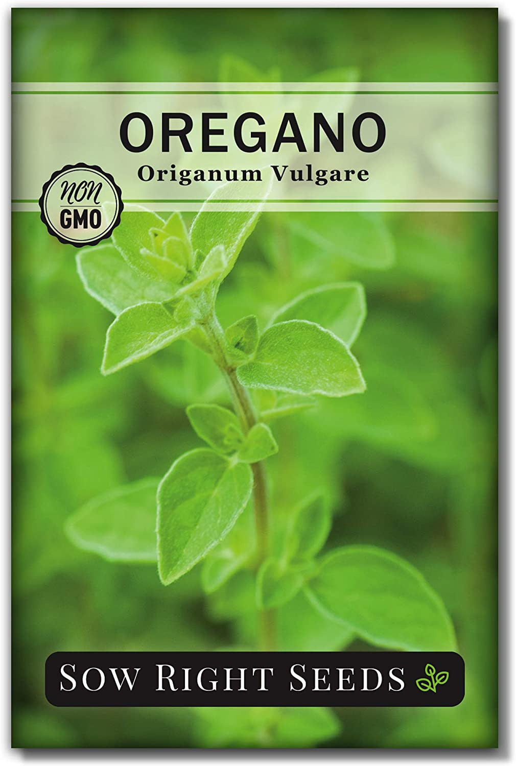 - Oregano Seed for Planting - Non-Gmo Heirloom- Instructions to Plant and Grow a