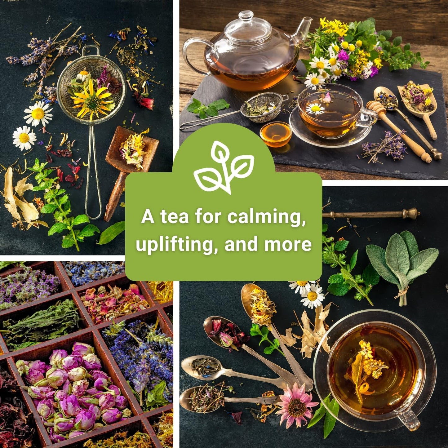 - Herbal Tea Collection - Lemon Balm, Chamomile, Mint, Lavender, Echinacea Herb