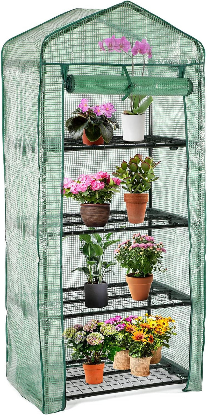 Mini Greenhouse for Outdoors Indoor, Small Greenhouses with 4-Tier Shelf, Portab