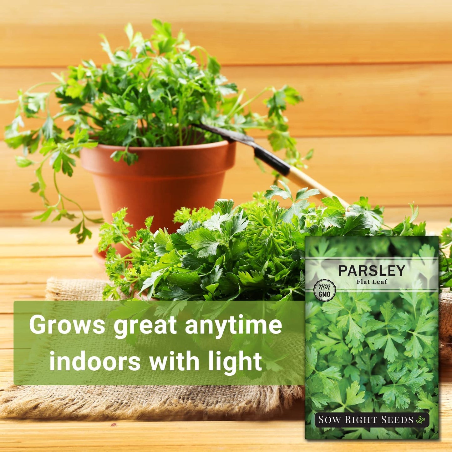 - Flat Leaf Parsley Seed for Planting - Non-Gmo Heirloom Packet with Instruction