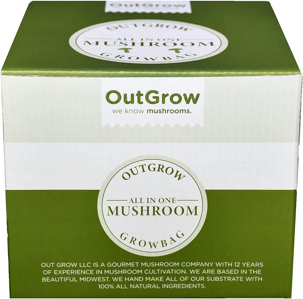 All in One Mushroom Grow Bag