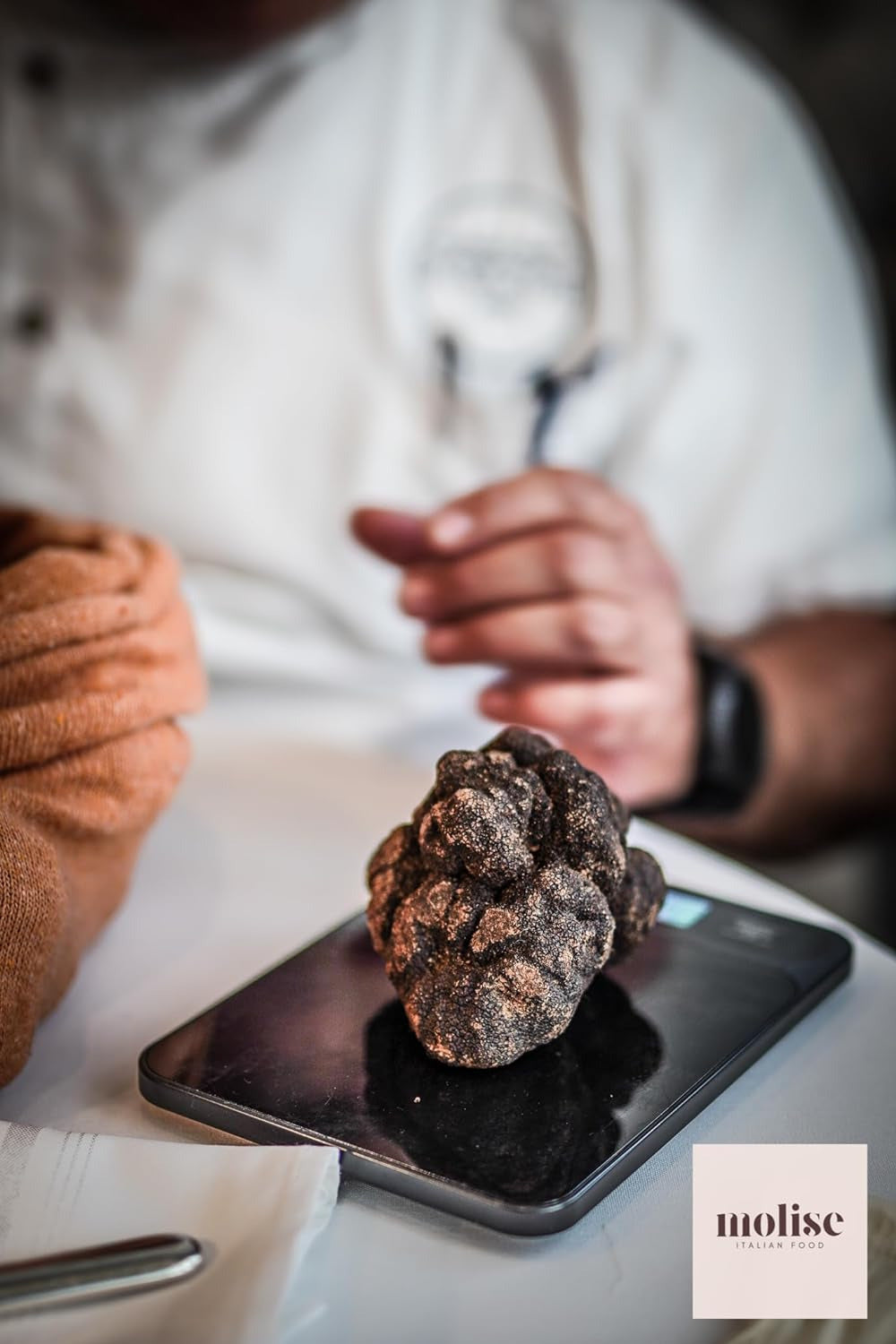 Fresh Italian Black Summer Truffles, Gourmet Solid and Aromatic Flavor Truffles,