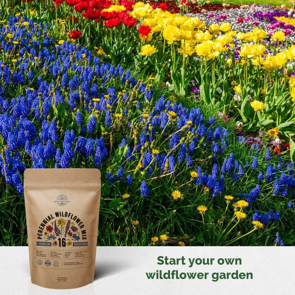 16 Perennial Wildflower Seeds Mix for Indoor & Outdoors. 100,000+ Non-Gmo, Heirl