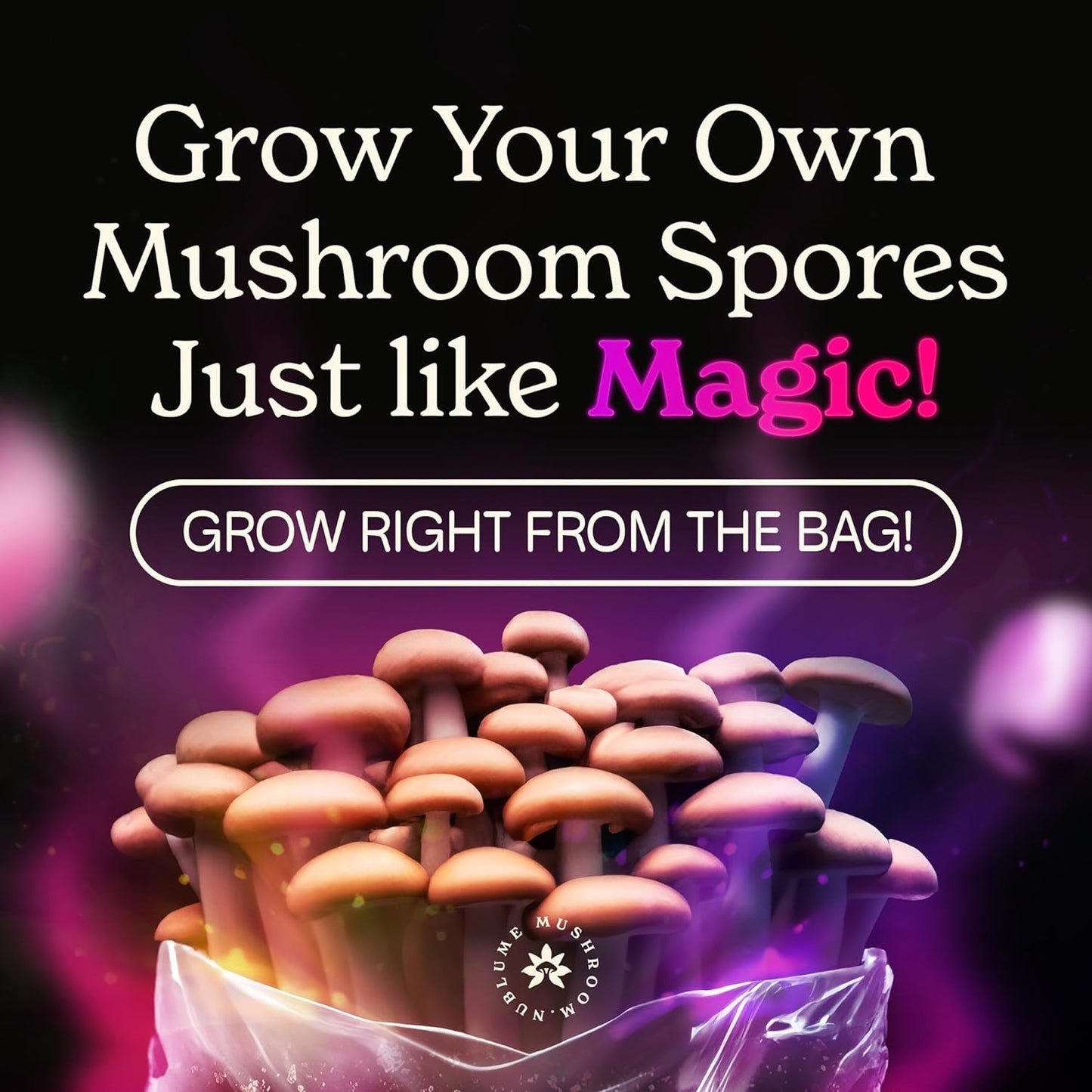 Shroombloom All-In-One Mushroom Grow Kit | Easiest Way to Grow Your Own Fresh Mu