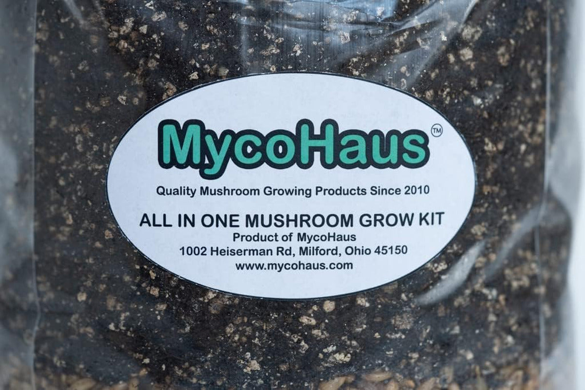 2 PACK All in One Bag Mushroom Grow Bags with Injection Port 5Lbs