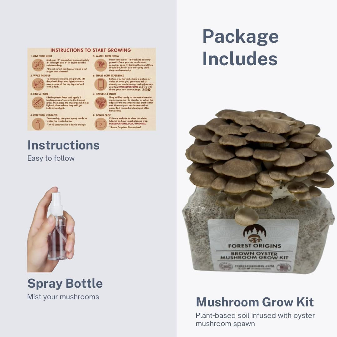 Brown Oyster Mushroom Grow Kit, Beginner Friendly & Easy to Use, Grows in 10 Day