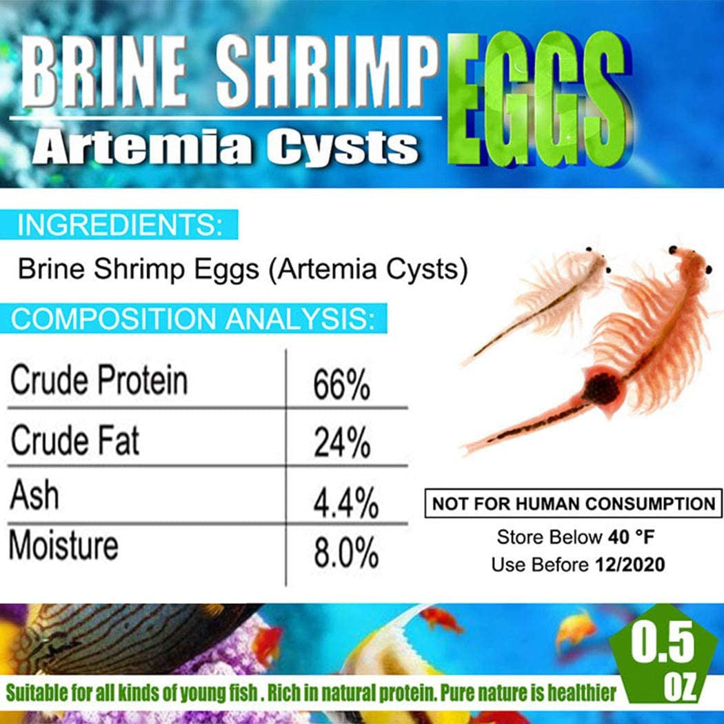 Brine Shrimp Eggs for Aquatic Foods Baby & Fry Foods the Popular 90% Hatch GSL B