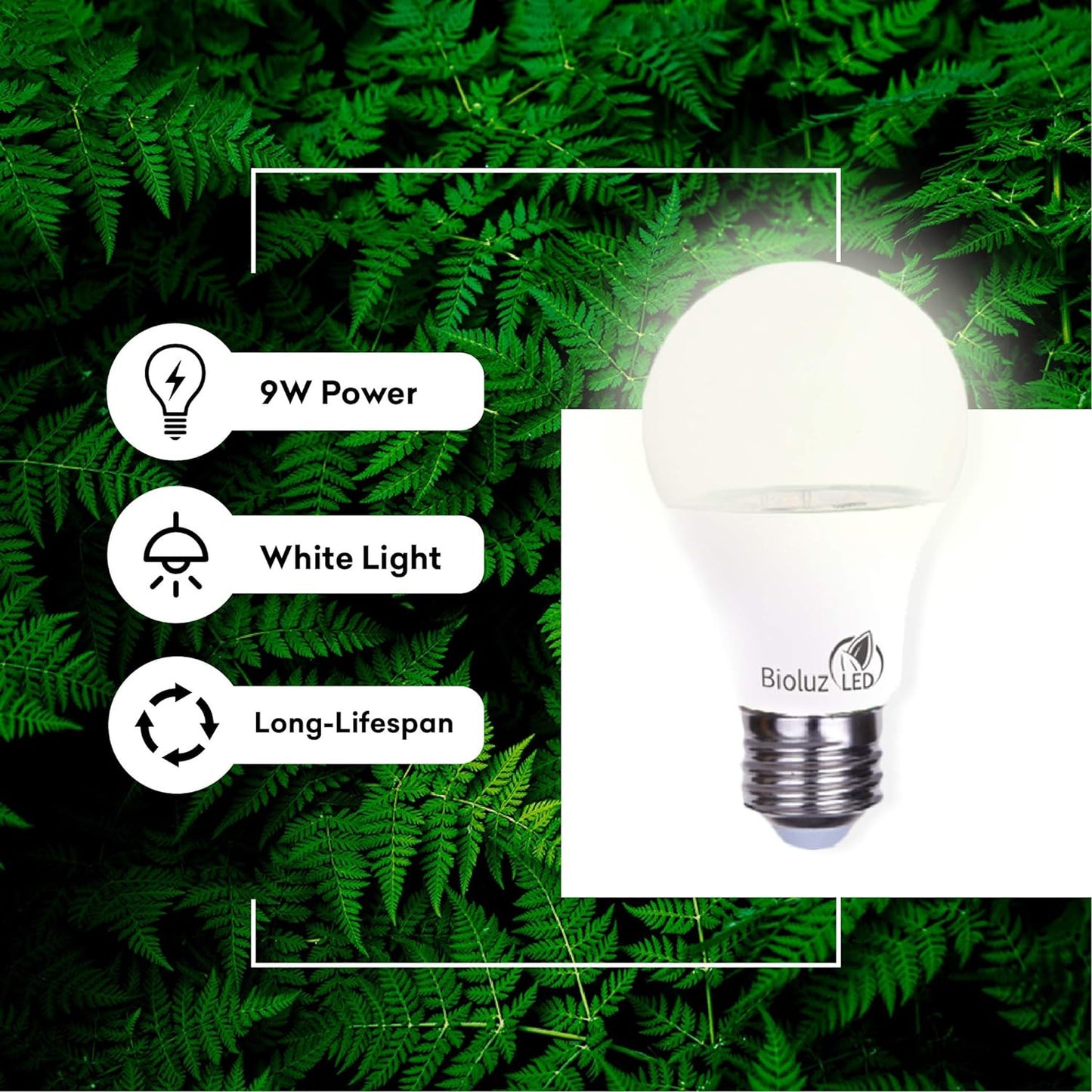 Full Spectrum Grow Light Bulbs for Indoor Plants A19 LED 3 Pack