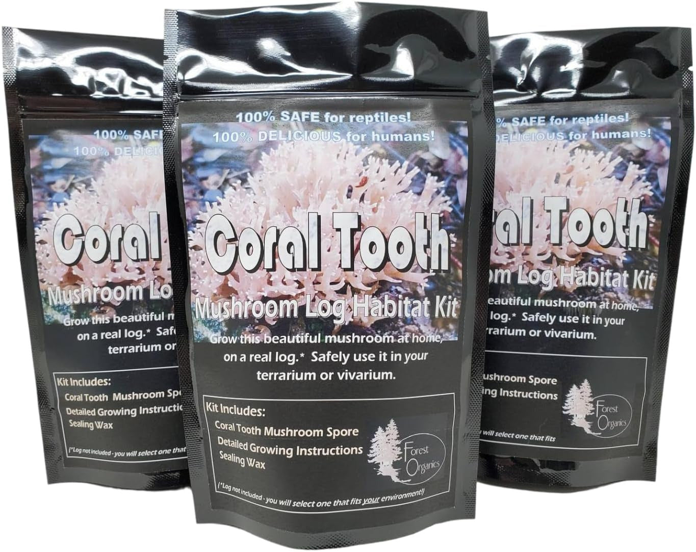 Coral Tooth Mushroom Growing Habitat Log Kit - 100% Organic, Safe for Rapltiels