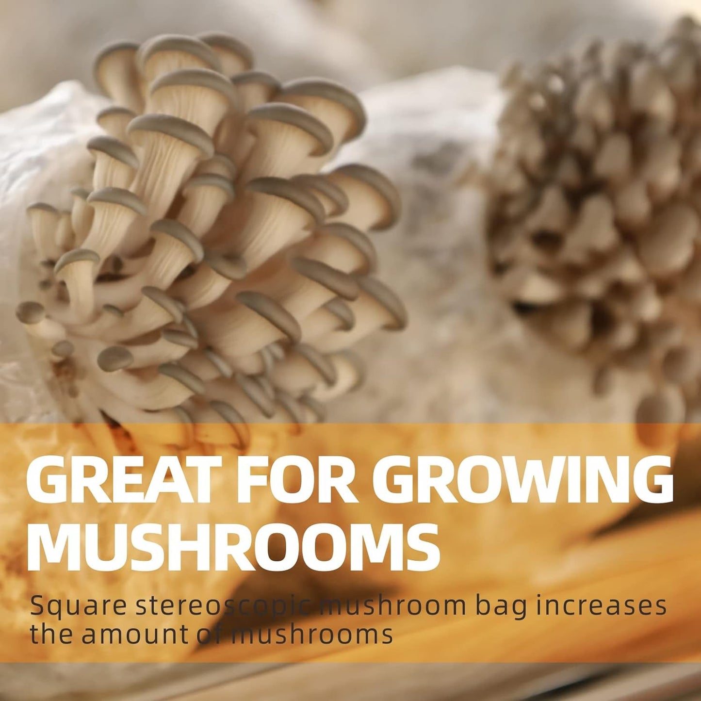 Mushroom Grow Bags, 6 Mil Mushroom Spawn Bags, Mushroom Grwoing Grain Bags for M