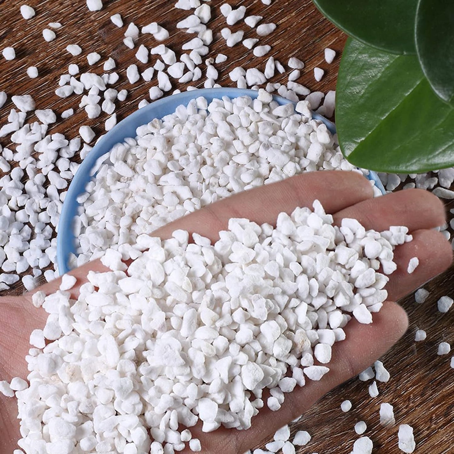 6 QT Perlite Horticultural Organic Perlite Bulk for Plants Natural Potting Soil