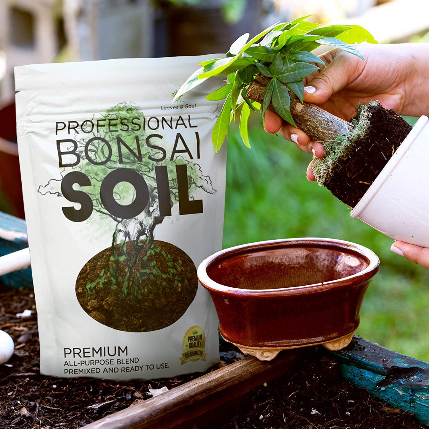 Bonsai Soil Premium All Purpose Blend | Pre-Mixed Ready to Use for Fast Drainage