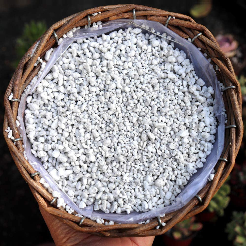 THE VALLEY GARDEN Organic Perlite for All Plants, All Natural Horticultural Soil