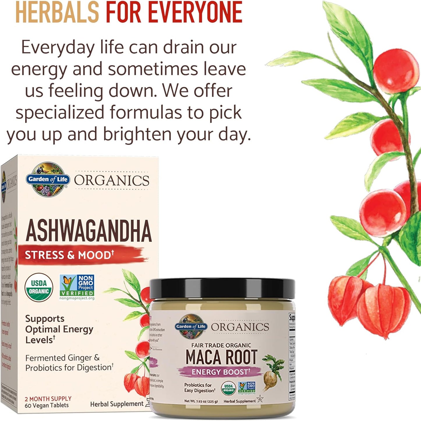 Organics Ashwagandha Stress, Mood & Energy Support Supplement with Probiotics &