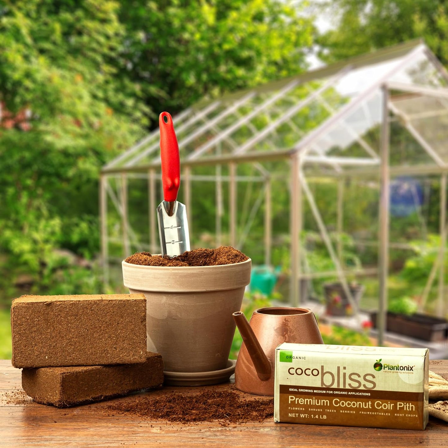 Coco Bliss Coco Coir 650Gm Bricks (5-Pack) - Organic Coco Coir for Plants, Herbs