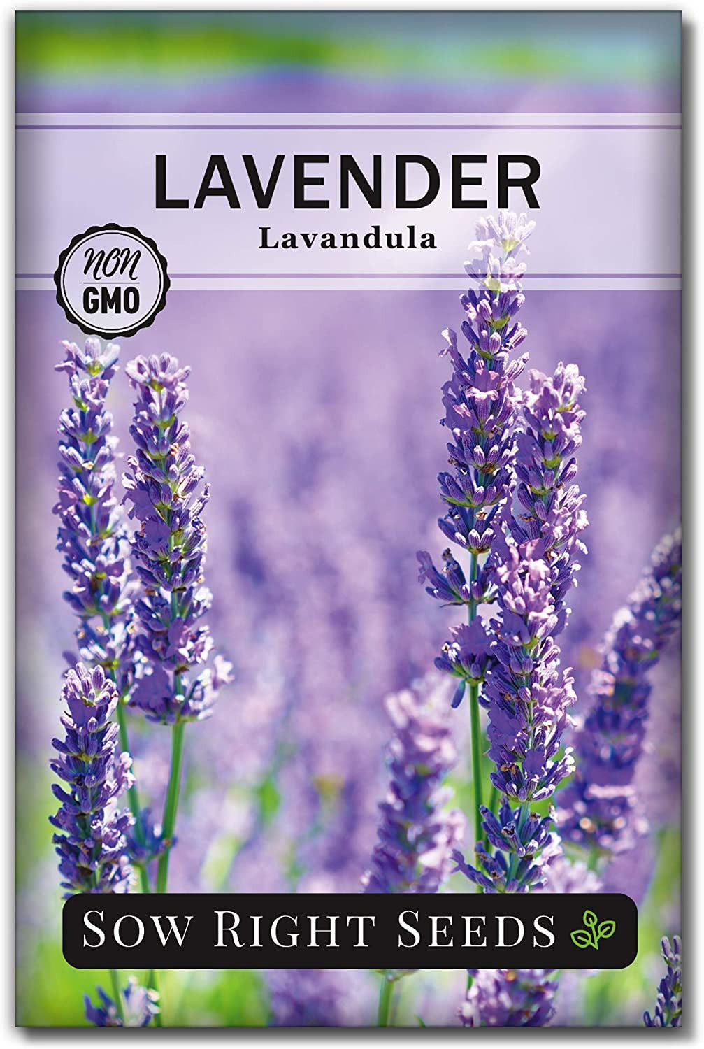 - Lavender Seeds for Planting - Non-Gmo Heirloom Packet with Instructions to Gro