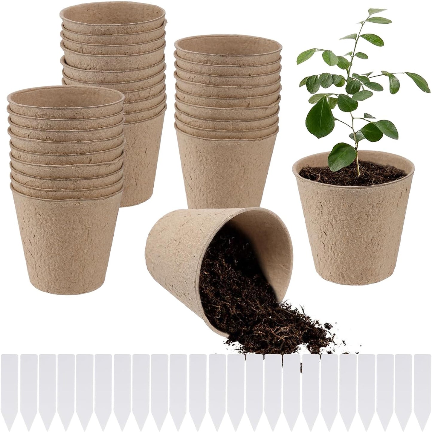 100 Pcs Thickened Peat Pots for Seedlings - 3.15" Biodegradable Eco-Friendly rou