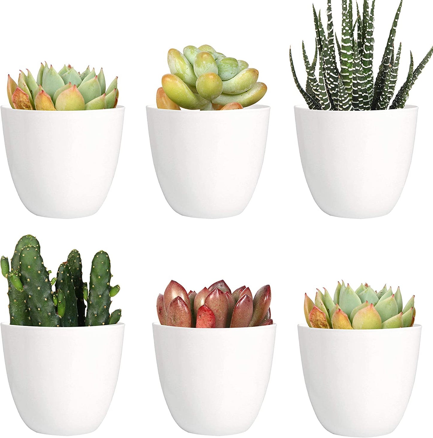 10 Pack 3 Inch Mini Plastic Planters Indoor Flower Plant Pots, White Gardening P