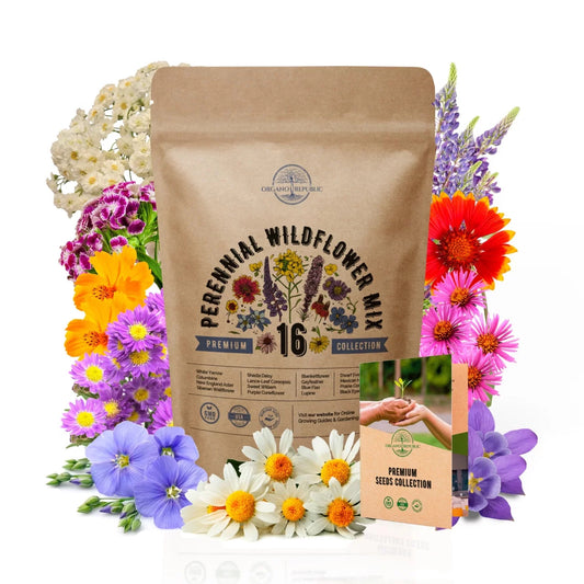 16 Perennial Wildflower Seeds Mix for Indoor & Outdoors. 100,000+ Non-Gmo, Heirl