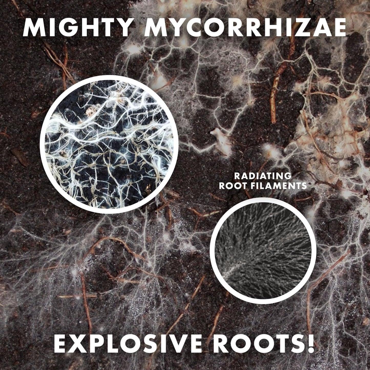 Mycorrhizae Explodes Root Growth (1Oz - 200 Plants)