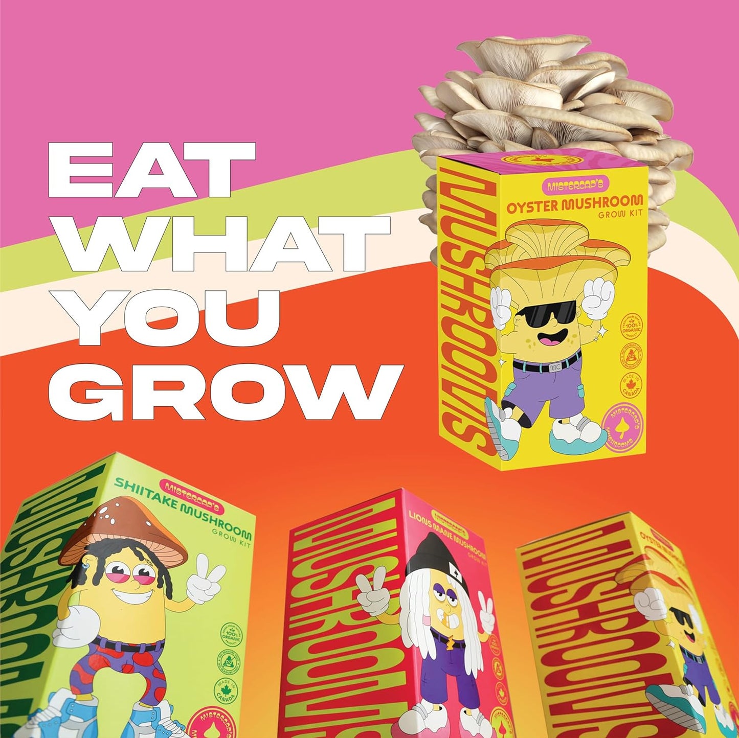 Grow Kits by Wiz Khalifa: Oyster Mushroom Grow Kit, Mushrooms to Elevate Your He