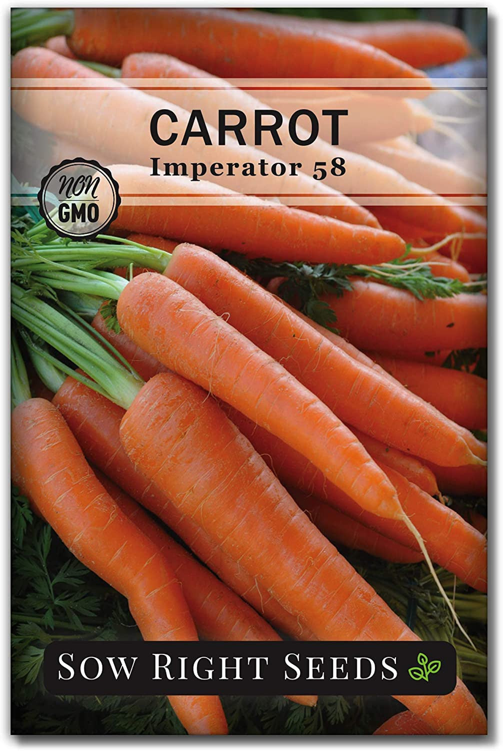 - Imperator 58 Carrot Seed for Planting - Non-Gmo Heirloom Packet with Instructi