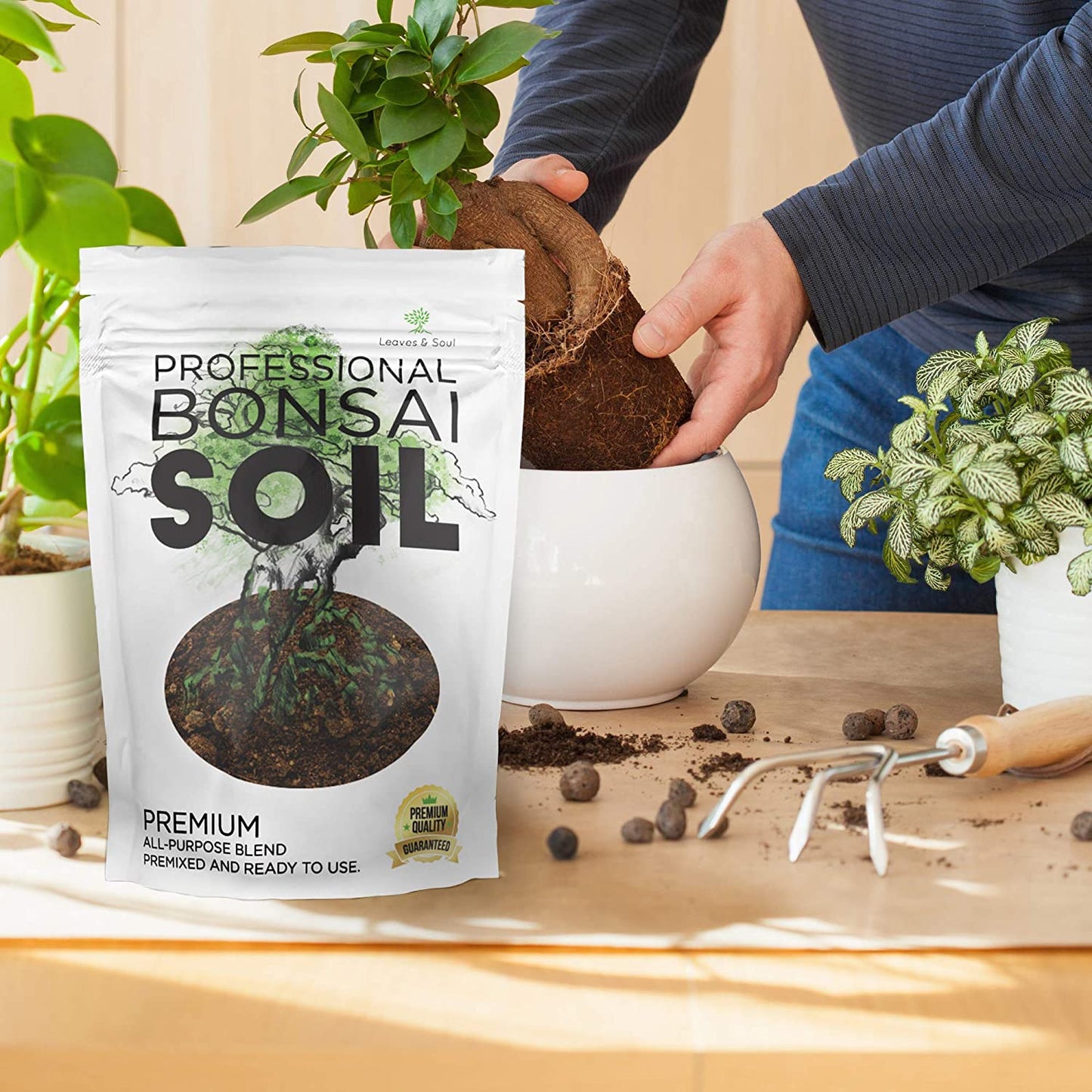 Bonsai Soil Premium All Purpose Blend | Pre-Mixed Ready to Use for Fast Drainage