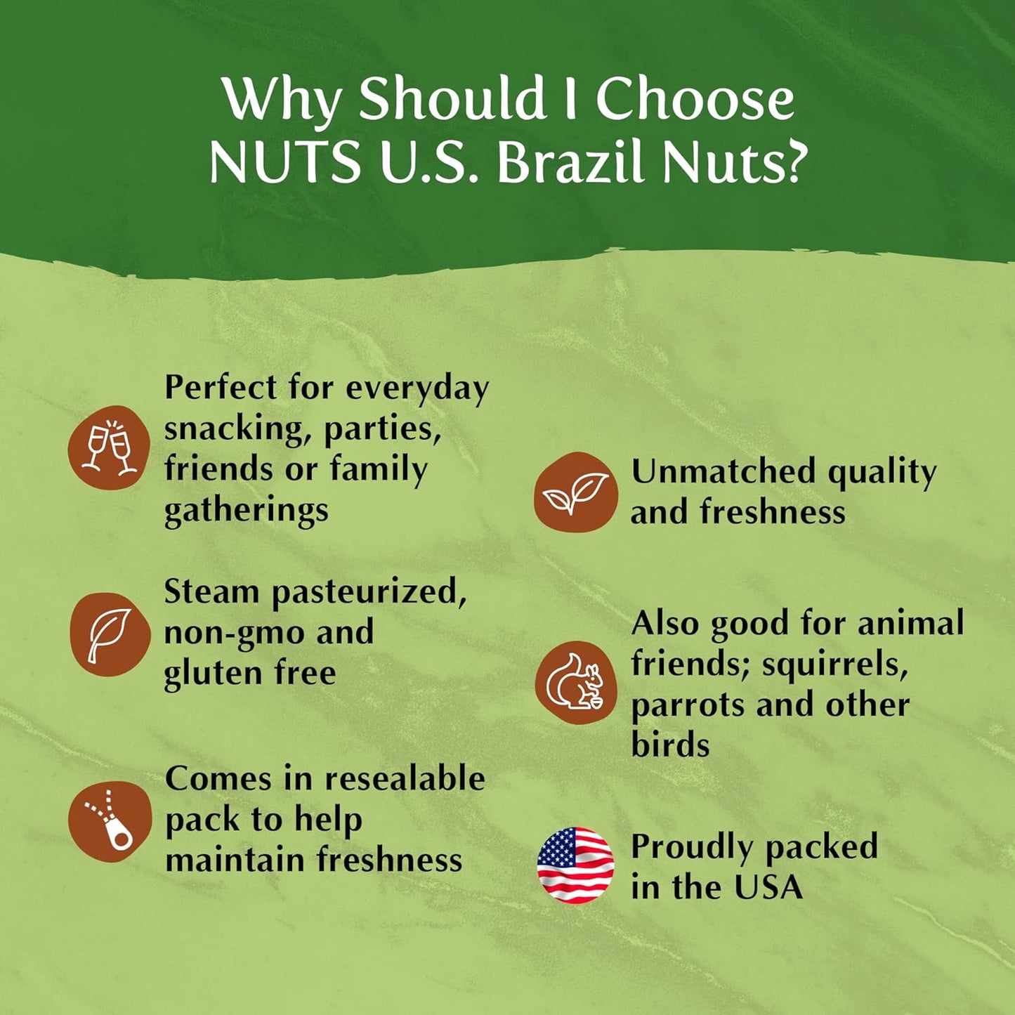 NUTS U.S. – Brazil Nuts | Shelled Whole Kernels | Raw and Unsalted | Non-Gmo and