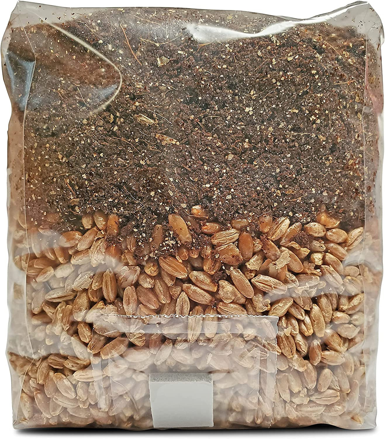 Evviva Sciences All-In-One Mushroom Grow Bag with Coco Coir & Rye Berry Grains,