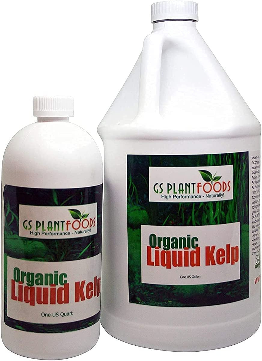 Organic Kelp Fertilizer by  - Omri Listed(1 Gallon) - Liquid Kelp Concentrate fo