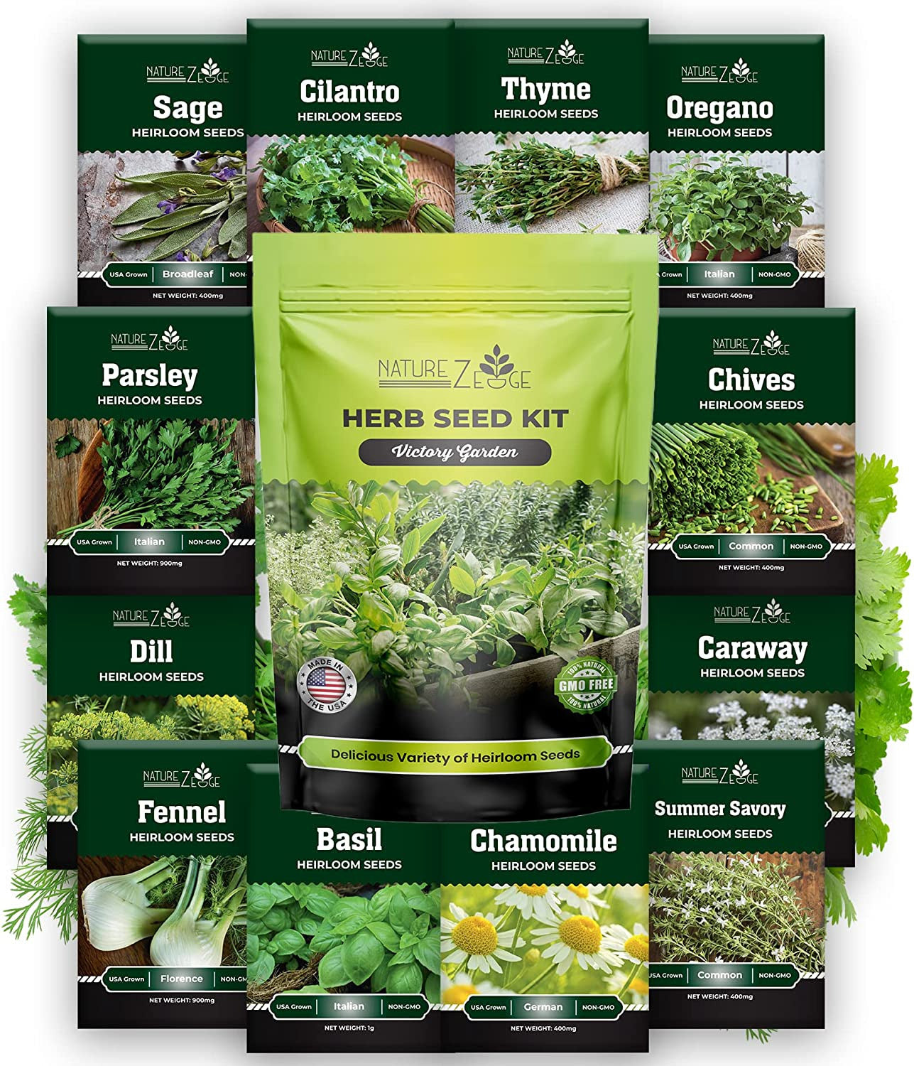 12 Herb Seeds Variety Pack, 6000+ Heirloom Seeds for Planting Hydroponic Indoor