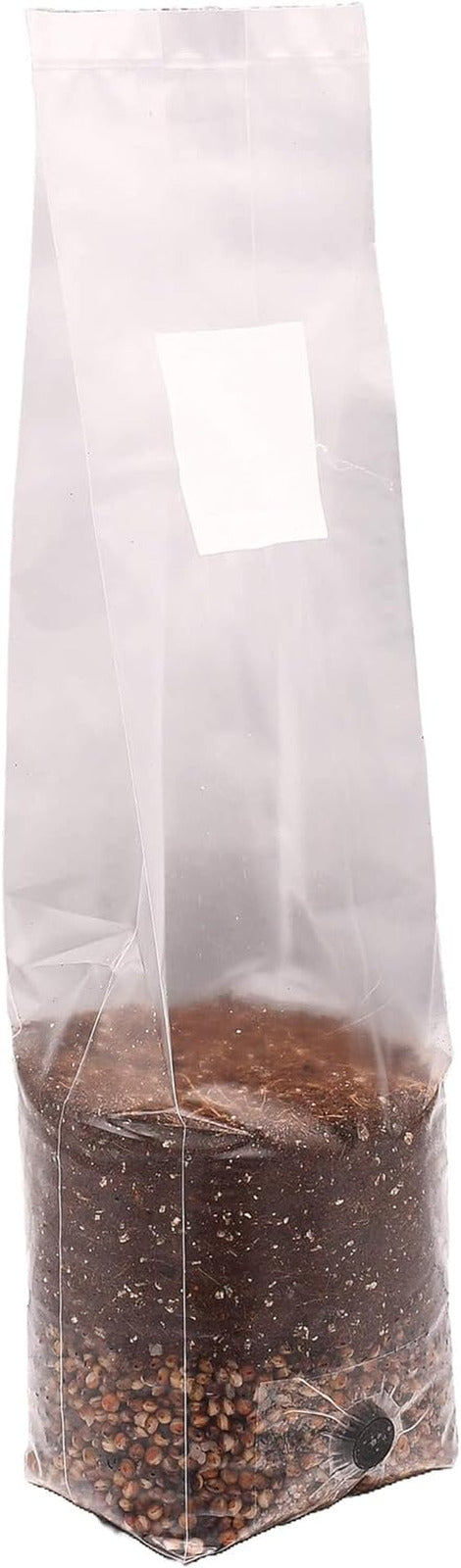 Mini Red Milo All-In-One Mushroom Grow Bag