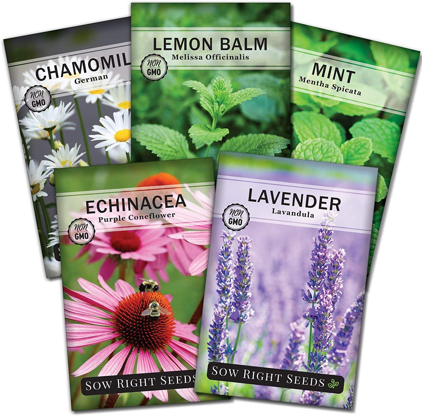 - Herbal Tea Collection - Lemon Balm, Chamomile, Mint, Lavender, Echinacea Herb