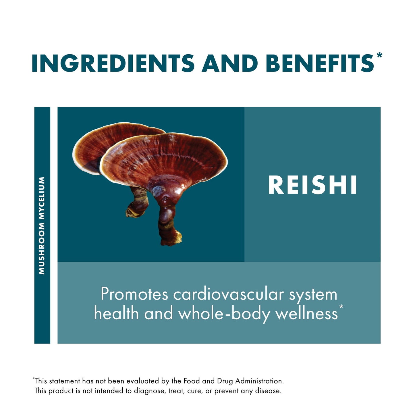 , Reishi Capsules, Supports General Wellness and Vitality, Mushroom Supplement,